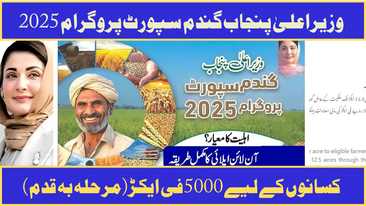 CM Punjab Wheat Support Program 2025 For Farmers 5000PKR Per Acre Guide (Step by Step)