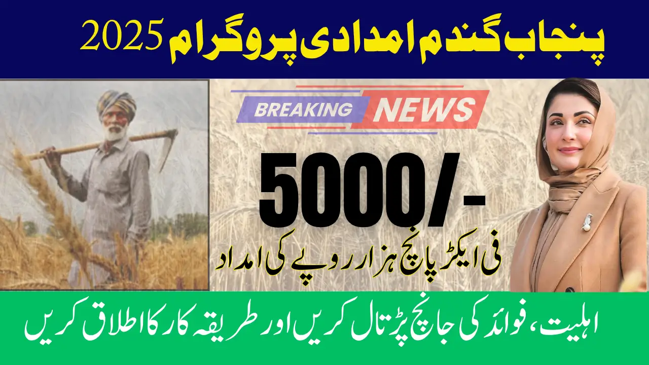 Punjab Wheat Aid Program 2025 Check Eligibility, Benefits & Apply Procedure