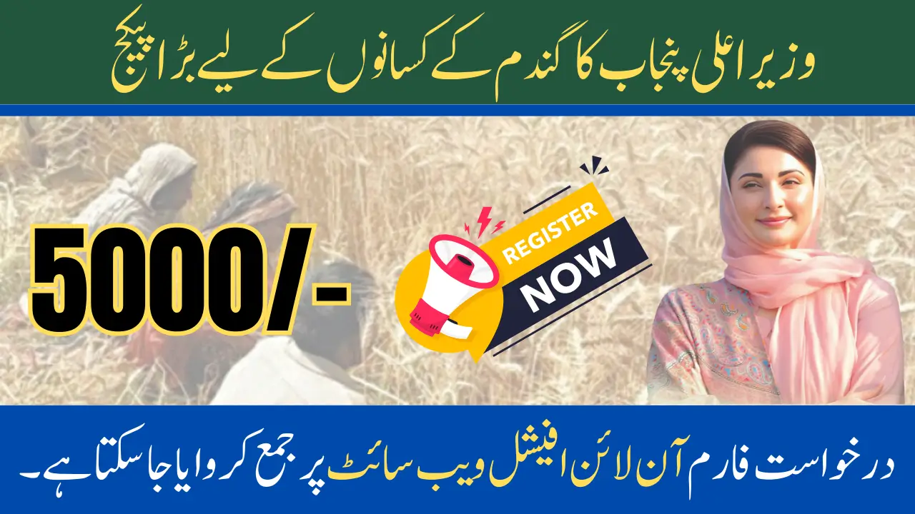 CM Punjab Wheat Support Program Application Online Procedure Complete Guide