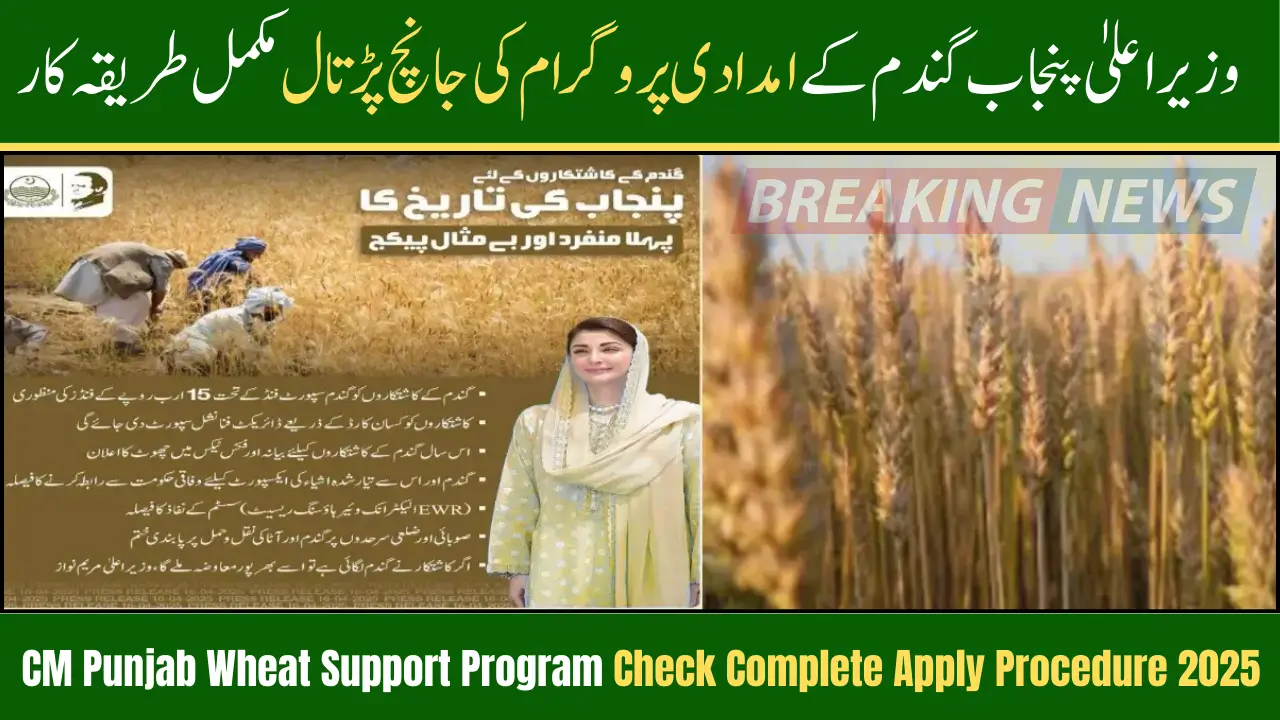 CM Punjab Wheat Support Program Check Complete Apply Procedure 2025