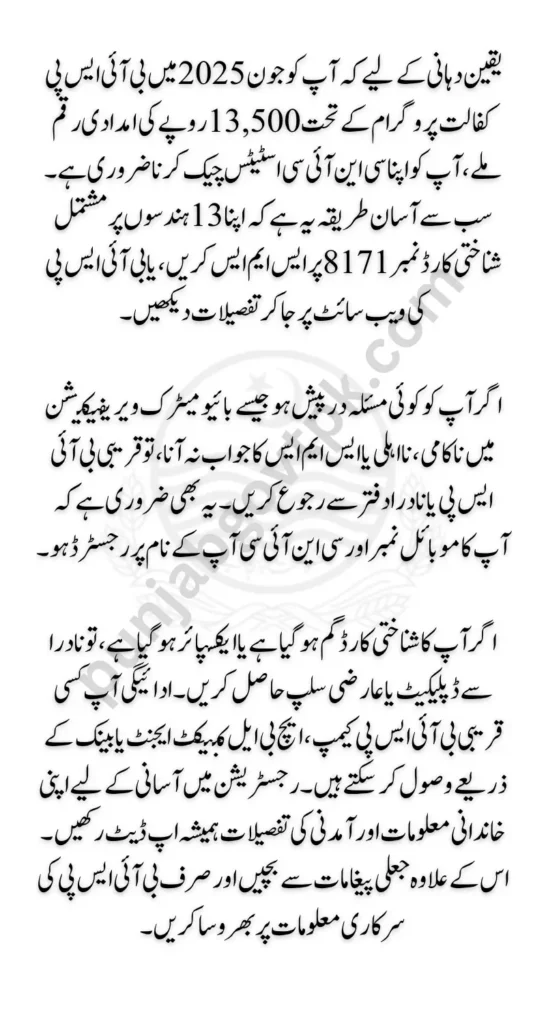 BISP CNIC Check Online June 2025 Check Common Issues for Registration