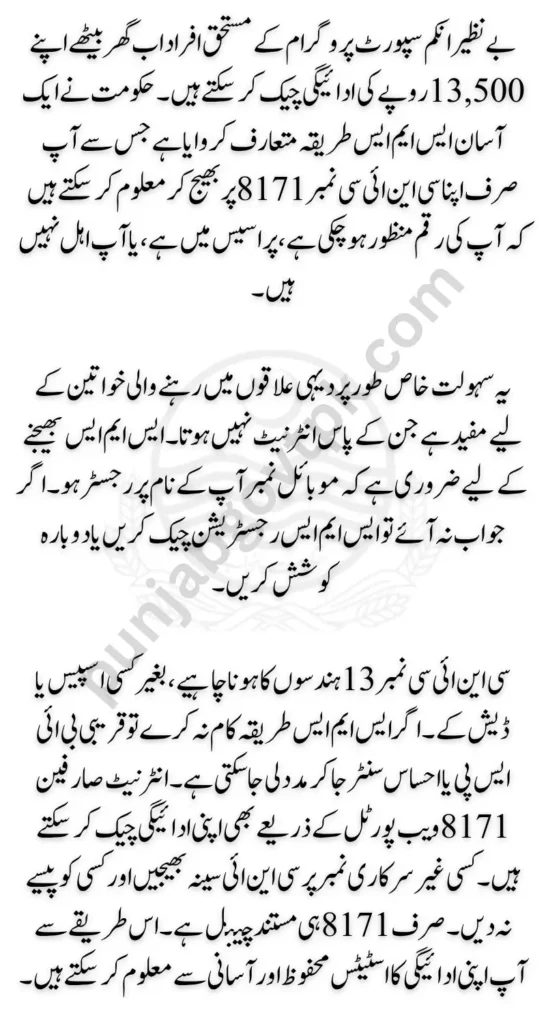 BISP SMS Method To Track 13500 Payment Complete (Online & Offline) Procedure