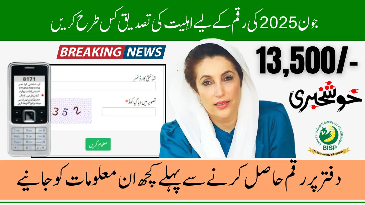 BISP 8171 Payment June 2025 Check Eligibility Status Online for 13500