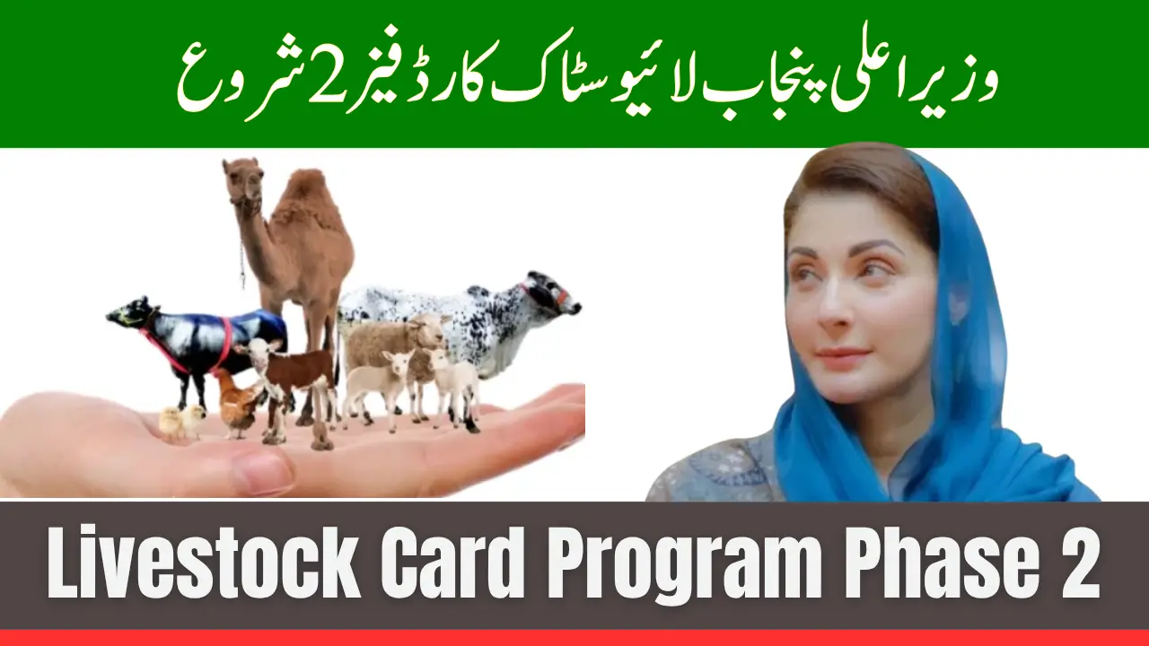 CM Punjab Livestock Card Program Phase 2 Overview Check Latest Details
